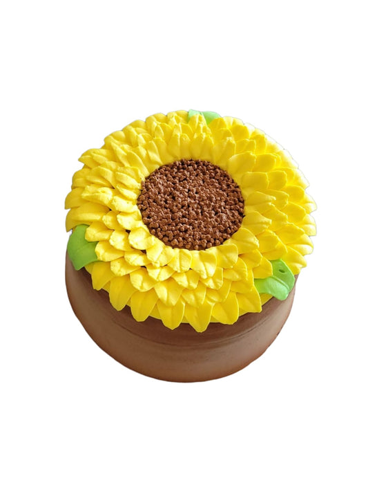 太陽花朱古忌廉朱古力蛋糕